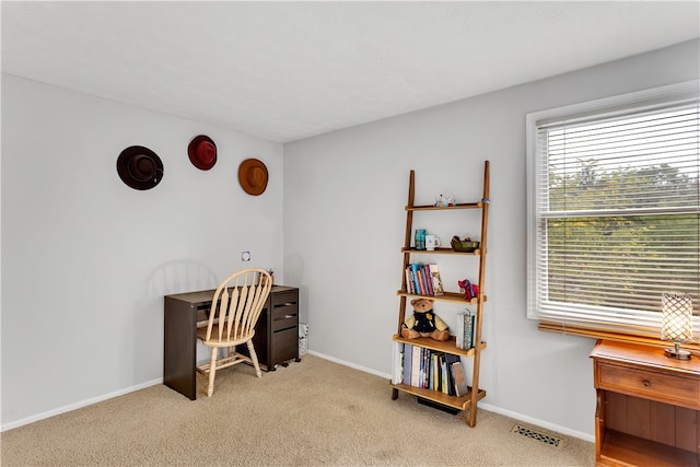 view of carpeted home office