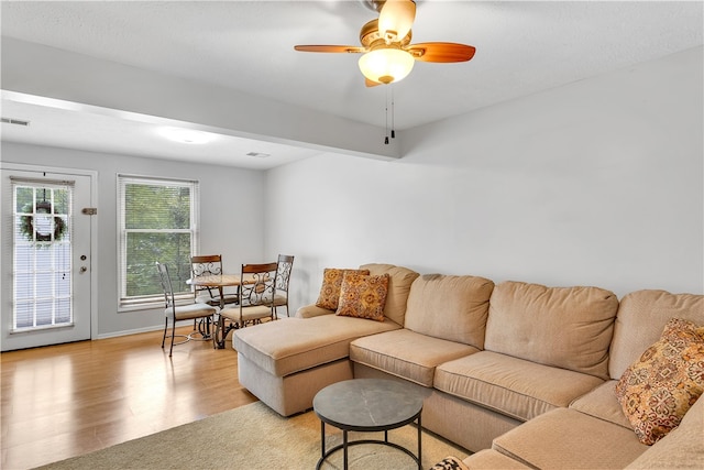 living room with ceiling fan and light hardwood / wood-style floors