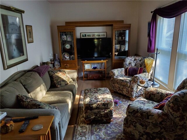 living area featuring wood finished floors