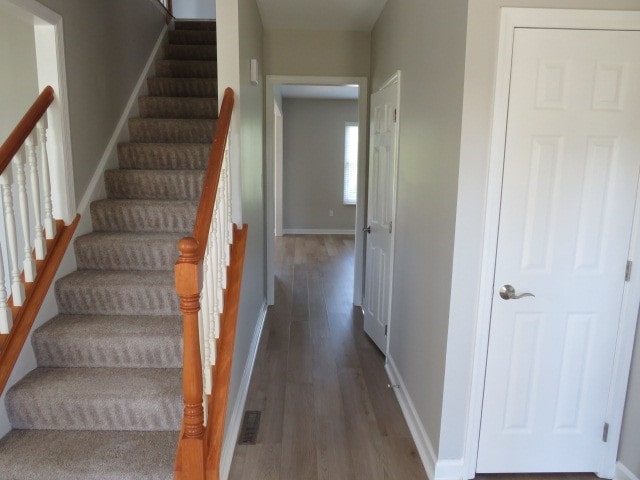 stairway featuring wood-type flooring