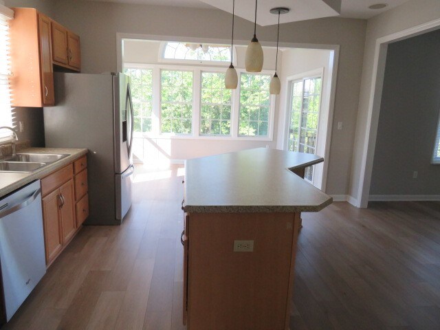 kitchen featuring stainless steel appliances, dark wood-type flooring, sink, and a wealth of natural light