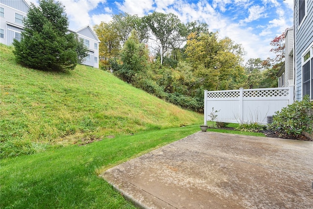 view of yard with a patio