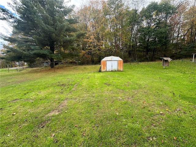 view of yard with a shed