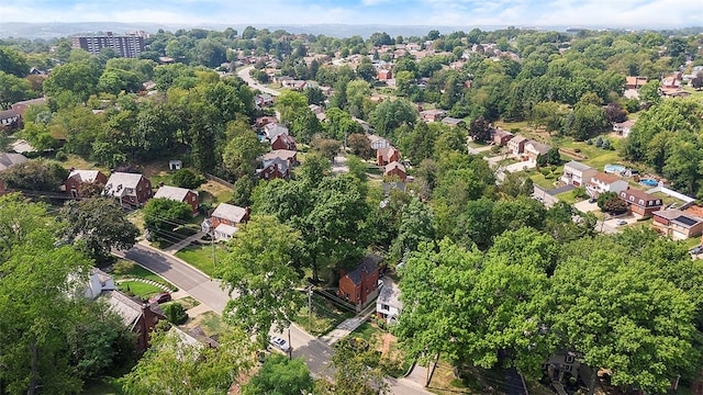 bird's eye view