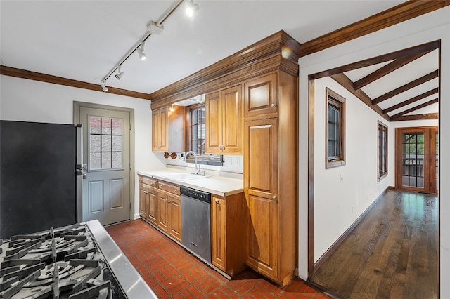 kitchen featuring lofted ceiling, a wealth of natural light, stainless steel dishwasher, and black refrigerator