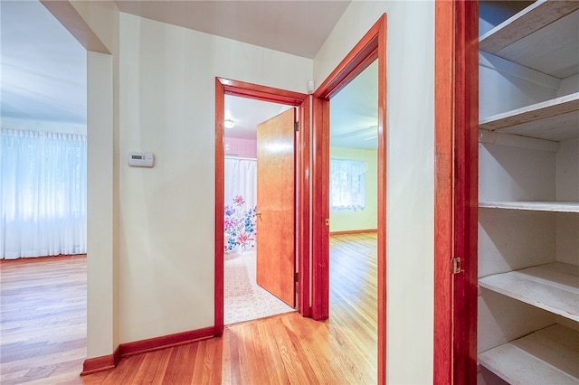 corridor with light wood-type flooring