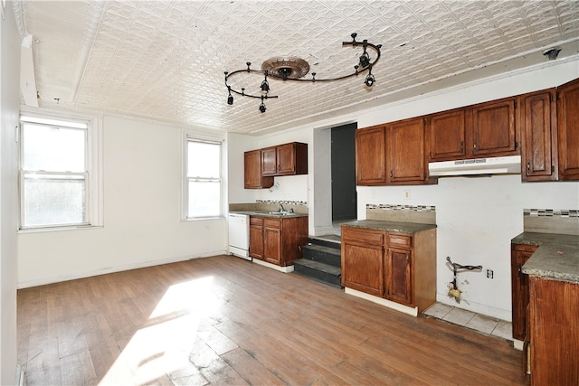 kitchen featuring dishwasher, light wood-type flooring, and sink