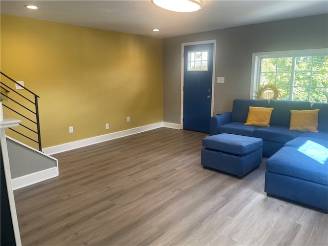 living room with wood-type flooring and plenty of natural light