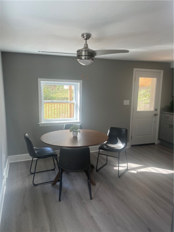 dining space with plenty of natural light, wood-type flooring, and ceiling fan