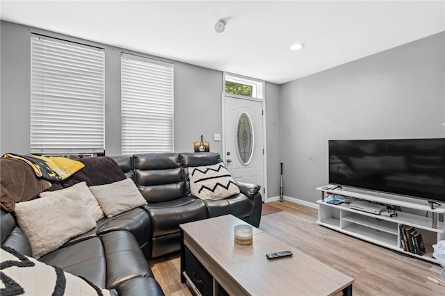 living room featuring light hardwood / wood-style floors