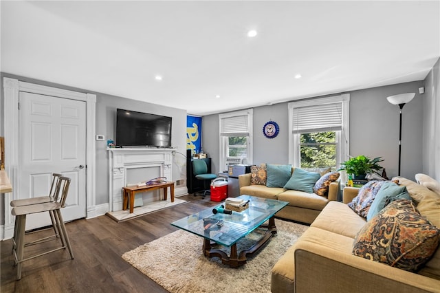 living room with dark hardwood / wood-style flooring