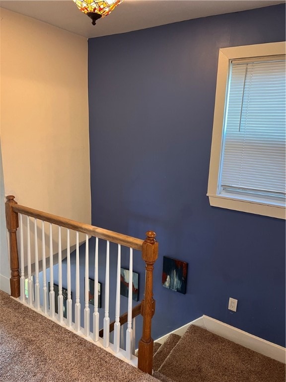 stairway with carpet floors