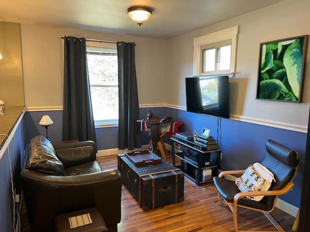 living room featuring hardwood / wood-style floors