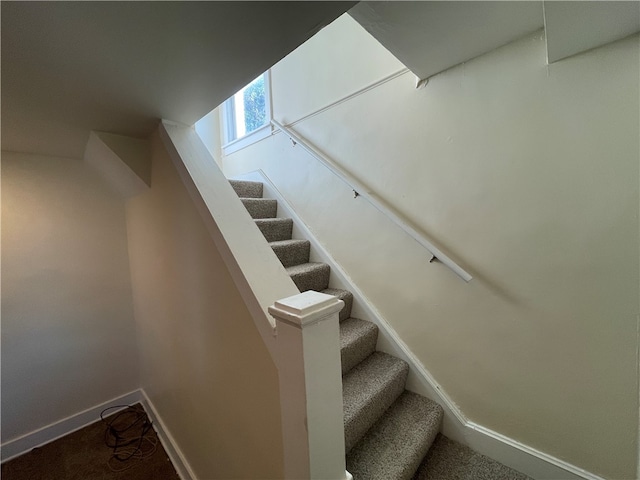 staircase with carpet flooring