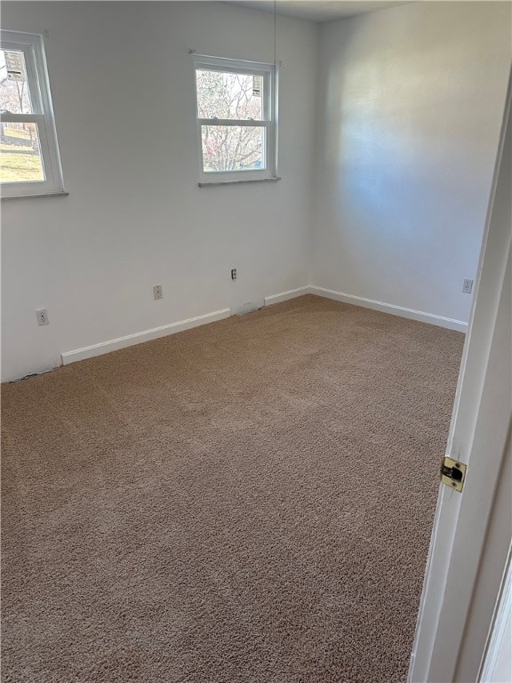 spare room with carpet