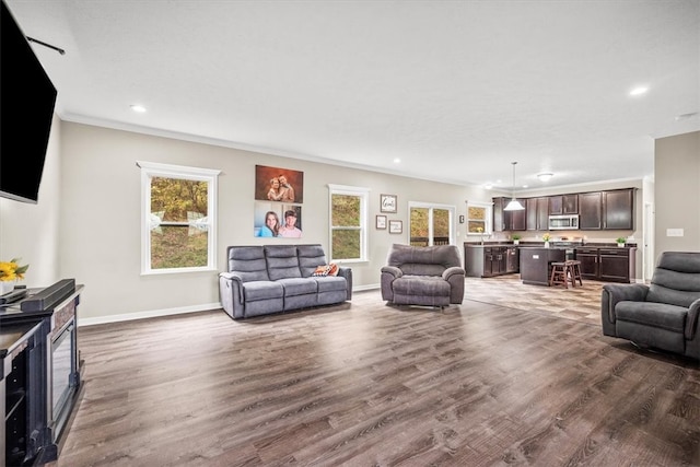 living room featuring ornamental molding and dark wood-type flooring