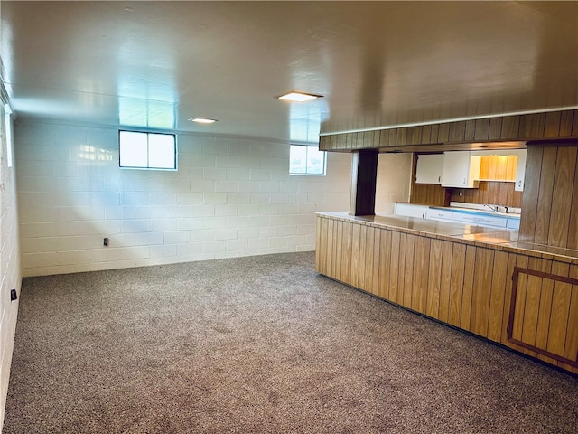 kitchen featuring carpet floors and a healthy amount of sunlight