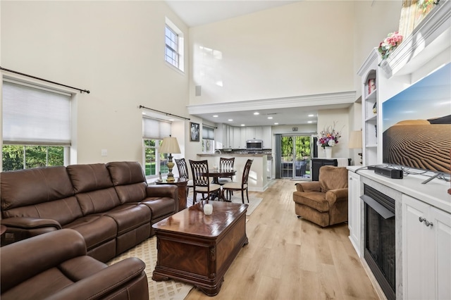 living room featuring a healthy amount of sunlight and light wood-type flooring