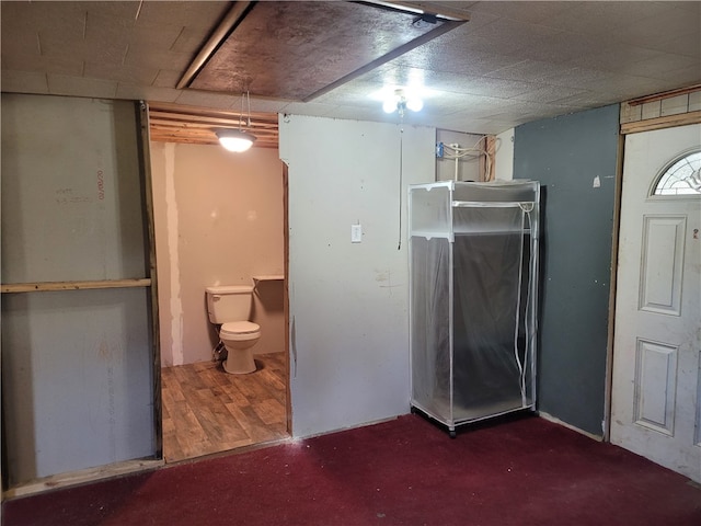 basement featuring dark wood-type flooring