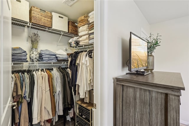 view of walk in closet