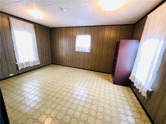 spare room with a wealth of natural light and wood walls