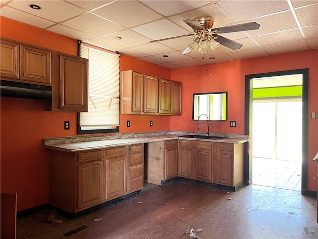 kitchen featuring a drop ceiling, sink, dark wood-type flooring, and ceiling fan