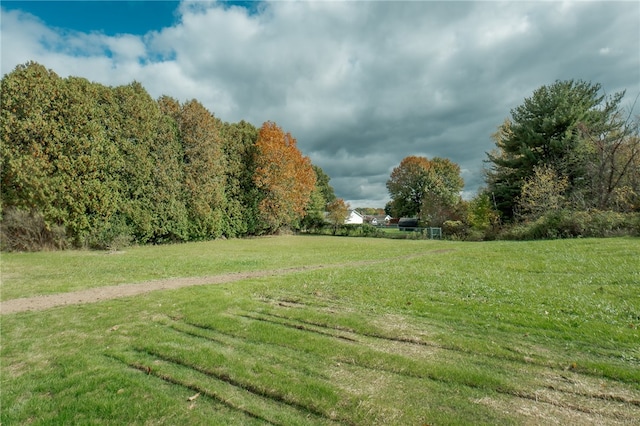 view of yard featuring a rural view