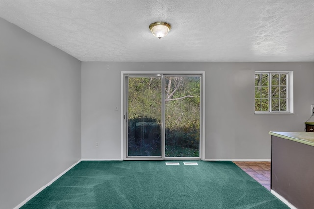 empty room featuring a wealth of natural light, a textured ceiling, and carpet flooring