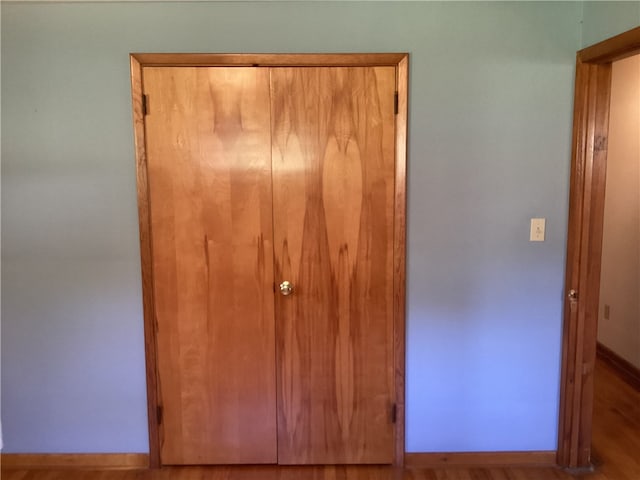 interior space featuring wood-type flooring and a closet