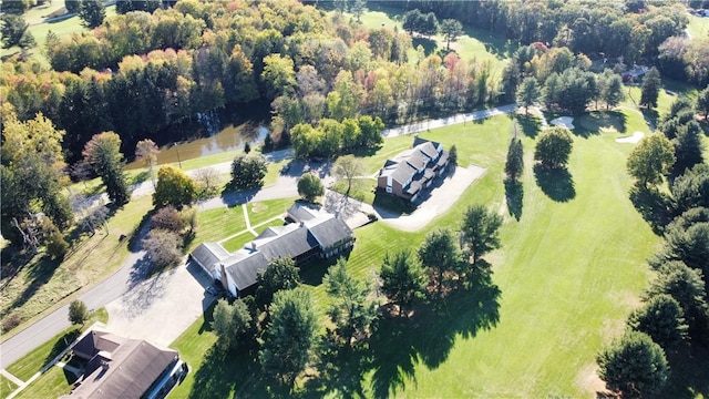 drone / aerial view