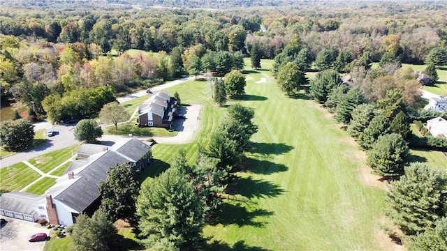 bird's eye view with a view of trees
