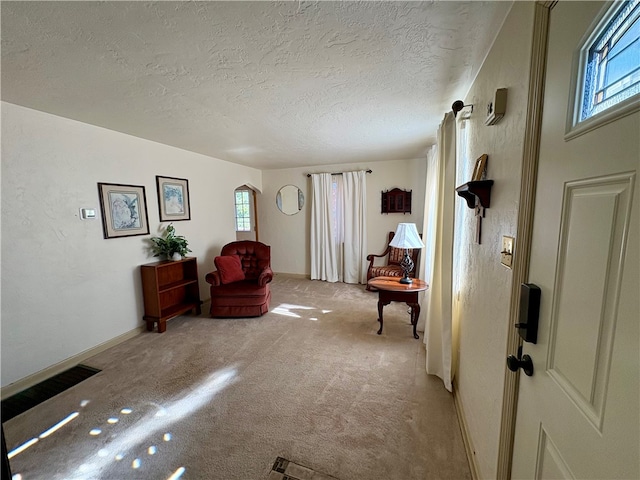 sitting room featuring light colored carpet and a textured ceiling