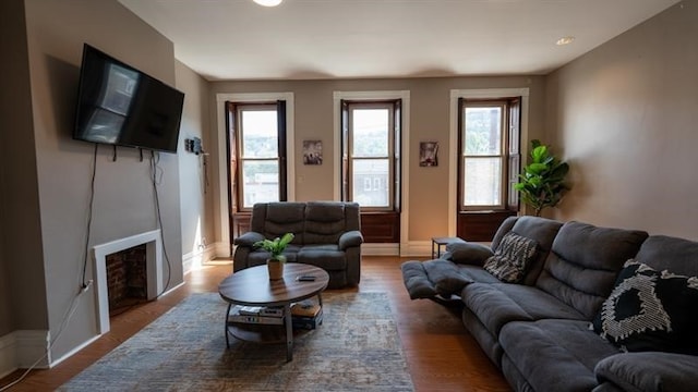 living room featuring hardwood / wood-style flooring