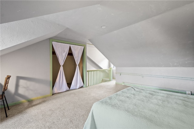 bedroom with lofted ceiling and carpet floors