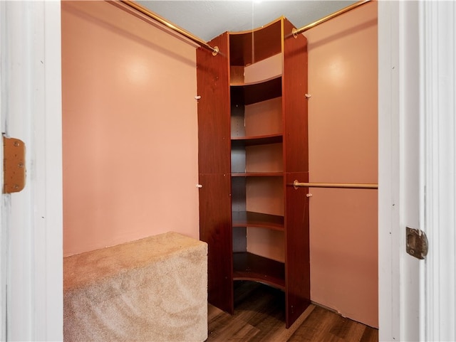 spacious closet with wood-type flooring