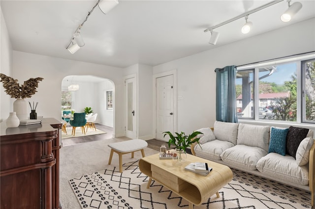 living room featuring light wood-type flooring and rail lighting