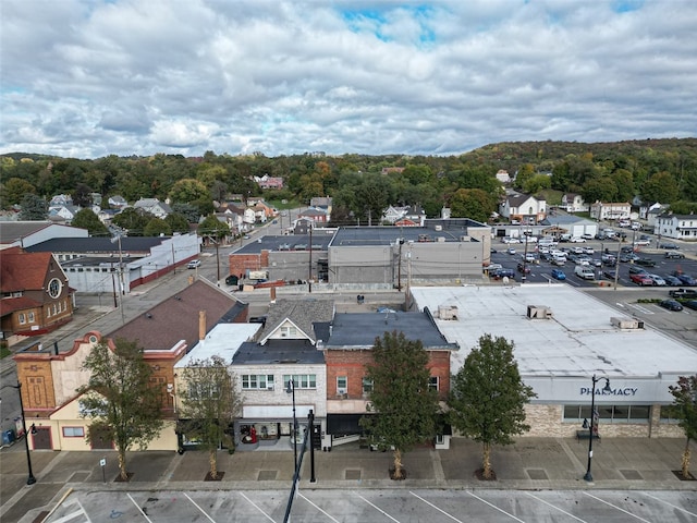 bird's eye view