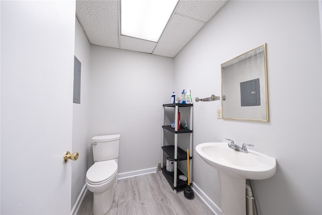 bathroom featuring toilet, electric panel, wood-type flooring, and a drop ceiling