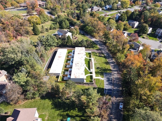 aerial view