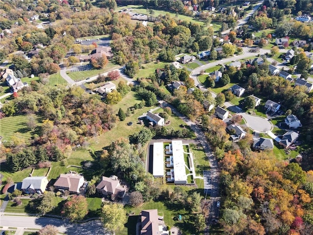 bird's eye view