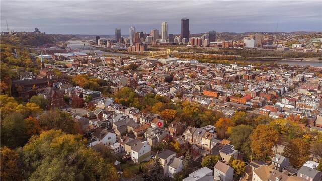 110 Pius St, South Side, PA 15203 - view of city