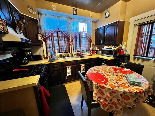 kitchen with dark brown cabinets, tasteful backsplash, black / electric stove, and sink