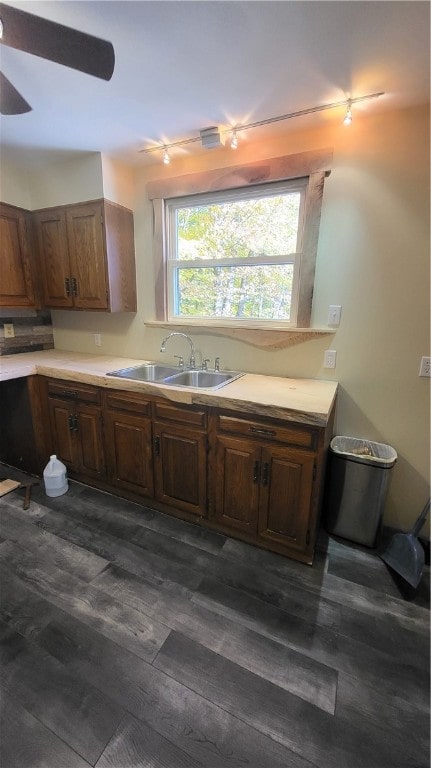 kitchen featuring ceiling fan, sink, and dark hardwood / wood-style flooring