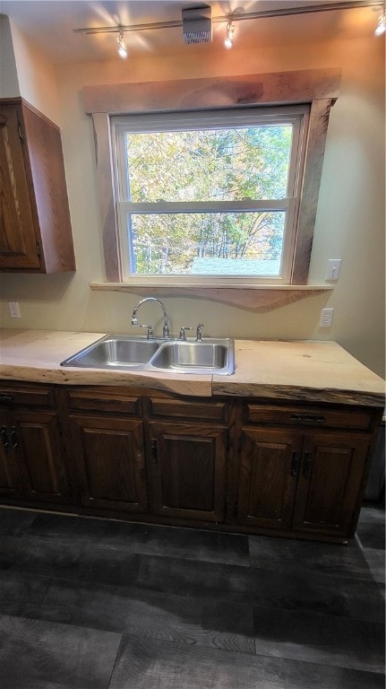 kitchen featuring dark brown cabinetry, sink, a wealth of natural light, and track lighting