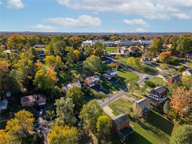 bird's eye view