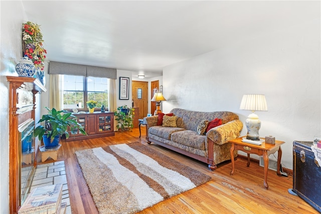 living room with hardwood / wood-style flooring