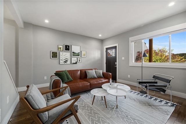 living room featuring dark hardwood / wood-style floors