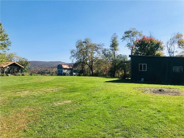 view of yard with a mountain view and an outbuilding