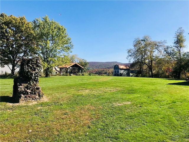 view of yard featuring a storage shed