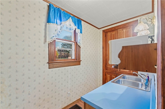 interior space with crown molding and sink